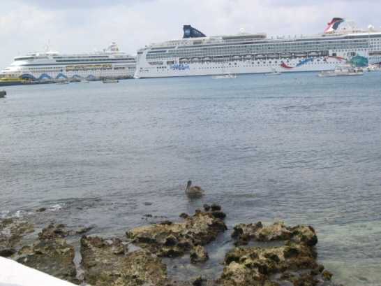 Floating cities anchored in harbor. Pelican is not impressed.