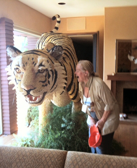 Kate and tiger compare fangs